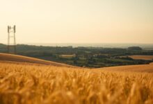 5G und Glasfaser im Kreis Lippe: Wie digital ist der ländliche Raum wirklich?