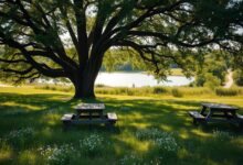 Die schönsten Picknickplätze im Kreis Lippe