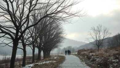 Draußen im Winter – auch ohne Schnee: Möglichkeiten, die oft übersehen werden