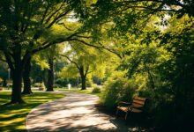 Klimaresilienz in Kurparks: Hitze, Schatten, Wassermanagement