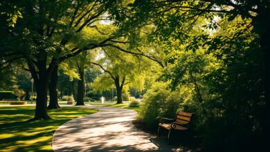 Klimaresilienz in Kurparks: Hitze, Schatten, Wassermanagement