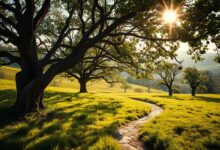 Streuobstwiesen als Kulturgut – Naturschutzprojekte in Nordlippe