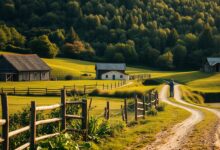 Was das Leben auf dem Land so besonders macht